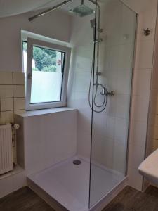 a bathroom with a glass shower with a window at Gästehaus Schönstein in Gilserberg