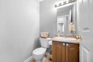 a bathroom with a toilet and a sink and a mirror at The house in Ottawa