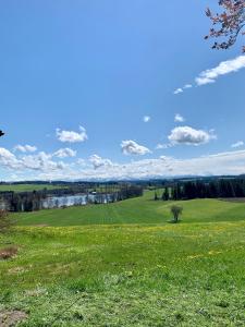 a field of green grass with a blue sky and clouds at Ferienwohnungen mama ELVA in Leutkirch im Allgäu