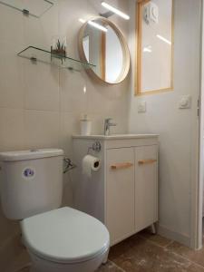 uma casa de banho com um WC, um lavatório e um espelho. em Le studio d'Alexandre - Terrasse et Parking - em Montboucher-sur-Jabron