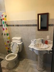 y baño con aseo, lavabo y espejo. en ALOJAMIENTO CAMPESTRE, en Ciudad de México