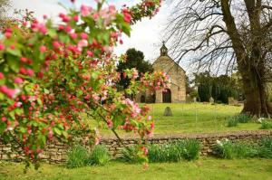 una vecchia chiesa in un campo con fiori rosa di Stone Cottage, Idyllic Village a Ingham