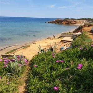 - une plage avec des fleurs roses et l'océan dans l'établissement ELEGANT BEACH HOUSE, à Artemi