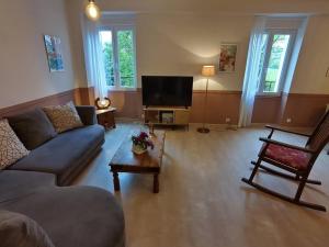 uma sala de estar com um sofá e uma televisão em Grand Appartement avec Jardin Bretenoux em Bretenoux
