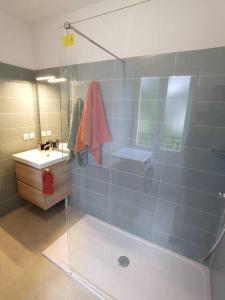 uma casa de banho com um chuveiro e um lavatório. em Grand Appartement avec Jardin Bretenoux em Bretenoux