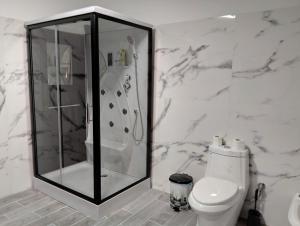 biała łazienka z prysznicem i toaletą w obiekcie Dhoma romantike , qetesi absolute! w mieście Korcza