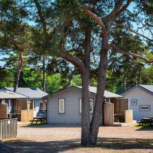 eine Gruppe modularer Häuser mit einem Baum in der Unterkunft Strandbyn - Destination Råbocka in Ängelholm