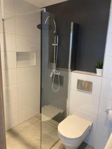 a bathroom with a glass shower with a toilet at W Pieninach pokoje in Sromowce Wyżne