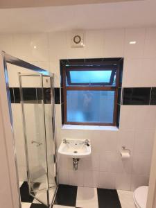 baño con lavabo, ducha y ventana en Brigadoon 3 bed Apartment with Stunning valley Veiws, en Roundwood