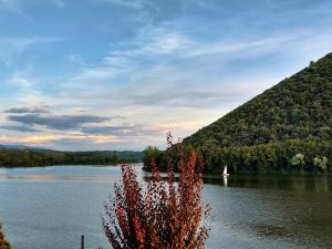 a view of a lake with a boat in the distance at Le finestre sul lago in Piediluco