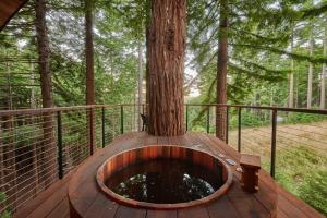 Zahrada ubytování ~* The Spectacular Spyglass Treehouse *~
