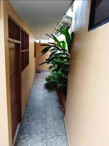 un couloir vide avec des plantes dans un bâtiment dans l'établissement Alojamiento Los Jardines, à Lamas