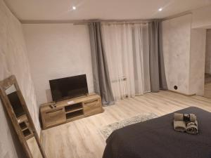 a bedroom with a flat screen tv and a bed at Apartamenty Rynek a1 in Przemyśl