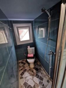 a bathroom with a toilet and a window and a shower at Bleu studio appart in Sevran