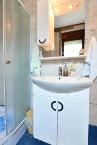 a bathroom with a white sink and a shower at Holiday Home Vukovic in Saborsko