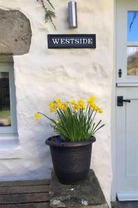 a pot of flowers sitting in front of a house at Westside Cottage, Newby Yorkshire Dales National Park 3 Peaks and Near the Lake Disrict, Pet Friendly in Newby