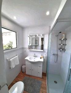 y baño con lavabo, ducha y aseo. en Habitaciones en Centro Histórico Alameda, en Sevilla