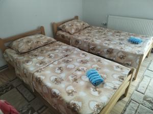 Posteľ alebo postele v izbe v ubytovaní Vikendica Jezdić