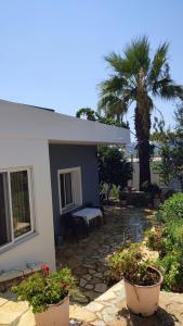 a white house with a palm tree and a bench at KELI Apartments in Ksamil +26 photos