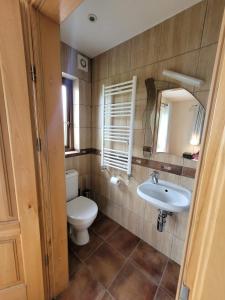 een badkamer met een toilet en een wastafel bij Brigadoon lakeview room in Roundwood