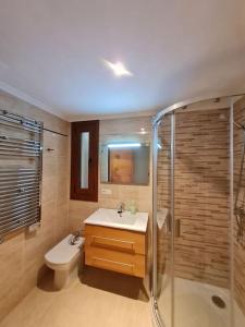 ein Bad mit einem WC, einem Waschbecken und einer Dusche in der Unterkunft El Mirador del Mar in O Vicedo