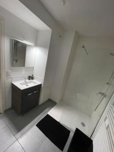 y baño blanco con lavabo y ducha. en Ô calme Cosy - Jardins et Villes - Expérience Unique - Wifi Gratuit - Parking gratuite en Grenoble