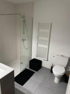 y baño con ducha, aseo y lavamanos. en Ô calme Cosy - Jardins et Villes - Expérience Unique - Wifi Gratuit - Parking gratuite en Grenoble