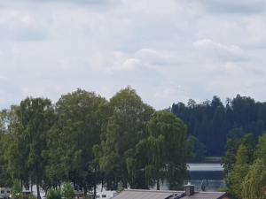 a view of a lake and some trees at Traumhafte neue Dachterrassenwohnung am Soyener See in Soyen
