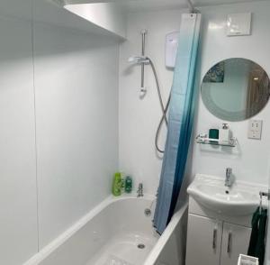 une salle de bain avec une baignoire, un lavabo et un miroir dans l'établissement Turtle Dove Apartment, à Oxford