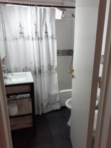 布宜諾斯艾利斯的住宿－Abasto Terrace，一间带水槽和淋浴帘的浴室