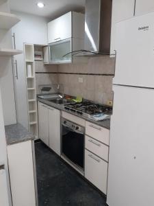 布宜諾斯艾利斯的住宿－Abasto Terrace，厨房配有水槽和炉灶 顶部烤箱
