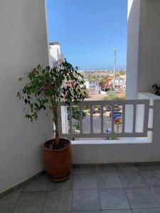 Balkon lub taras w obiekcie Appart vue sur mer,