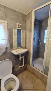 La salle de bains est pourvue de toilettes, d'un lavabo et d'une douche. dans l'établissement PR2e, au Blanc-Mesnil
