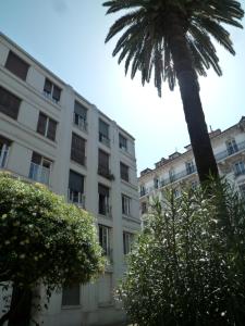 un palmier devant un grand bâtiment dans l'établissement Nice Appart, à Nice