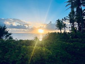 una puesta de sol sobre el océano con palmeras en el primer plano en Wild Blue Water en Pahoa