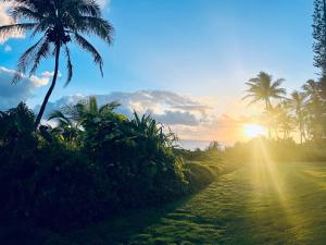 a sunset on the beach with palm trees at Wild Blue Water in Pahoa