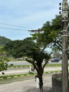 un arbre sur le côté d'une rue à côté d'un poteau dans l'établissement Pousada Suíte Verde Mar, à Ubatuba