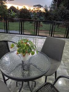 un tavolo in vetro con una pianta in vaso su un patio di Adiniz@HotSpring Sg Klah a Sungkai