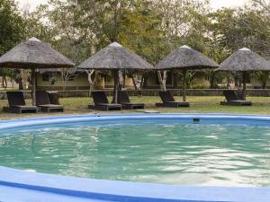 una piscina con sillas y sombrillas en un complejo en Montebelo Gorongosa Lodge & Safari, en Chitengo