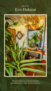 une affiche d'une salle de bains avec une plante en pot dans l'établissement Ecoresort Colombo Holandes, à Cali