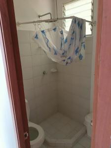 Koupelna v ubytování Apartamento vacacional en Flandes tolima