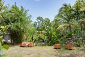 a garden with orange chairs and palm trees at Vieques Tropical Guest House in Vieques