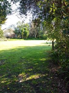 een park met groen gras en bomen in de verte bij The Frasertown Tavern in Wairoa