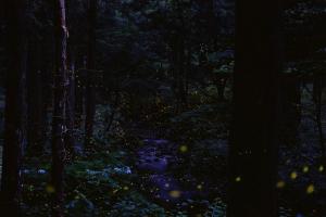Fotografie z fotogalerie ubytování 半芸ハウス v destinaci Yunohara