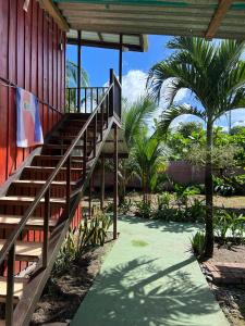 a staircase leading up to a building with palm trees at Tortuguero Hill Rooms in Tortuguero
