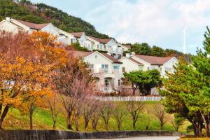 a row of houses on a hill with trees at Gyeongju Mauna Ocean Resort in Gyeongju