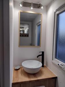 baño con lavabo y espejo en Mobil home les pieds dans l'eau et Gr34, en Ambon