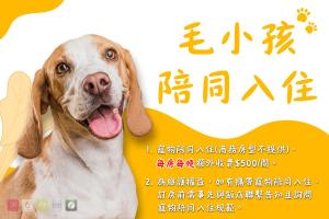 a picture of a dog with its tongue out at 168 Motel-Hsinchu in Hsinchu City