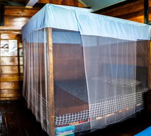 une cage est recouverte d'une tare bleue dans l'établissement Sumatra Surf Resort, à Biha