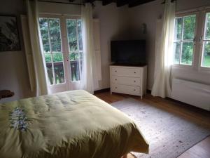 a bedroom with a bed and a tv and windows at La dépendance in Luchon